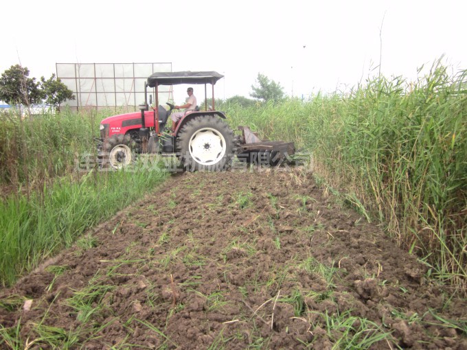 1LYQ华体会huatihui(中国)